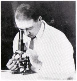 IAV