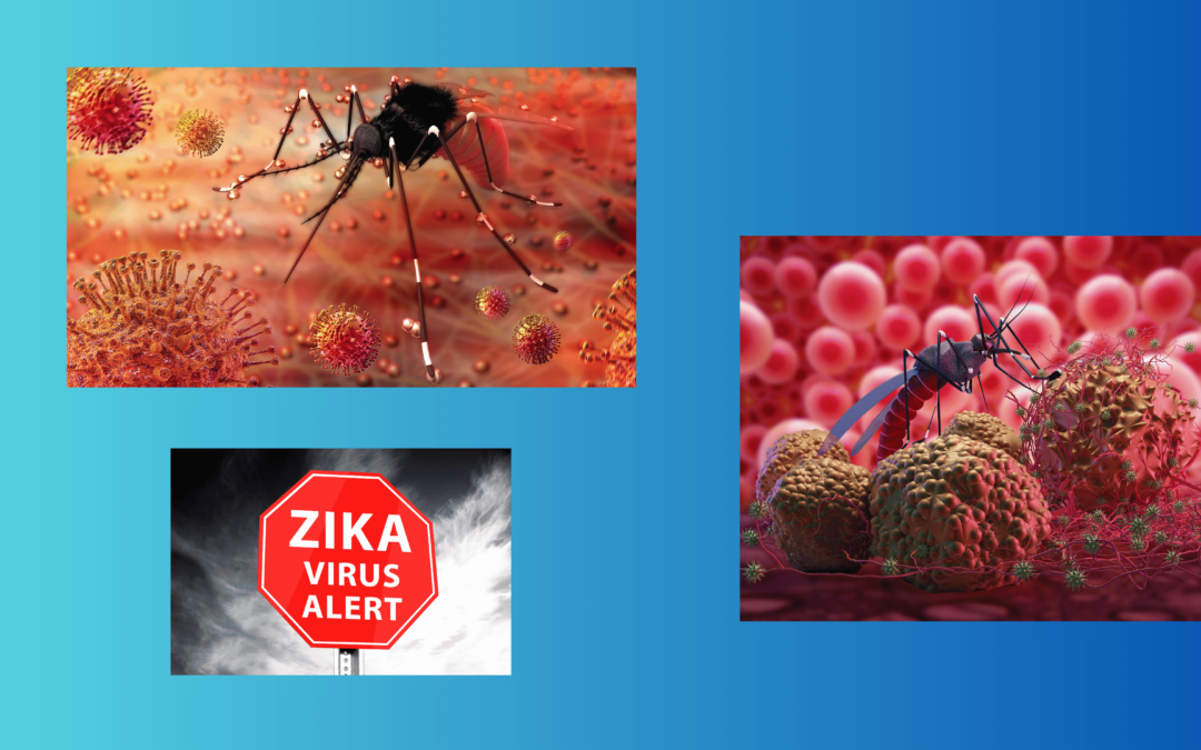Infección por el virus de Zika en mujeres embarazadas en Honduras, 2016-2018
