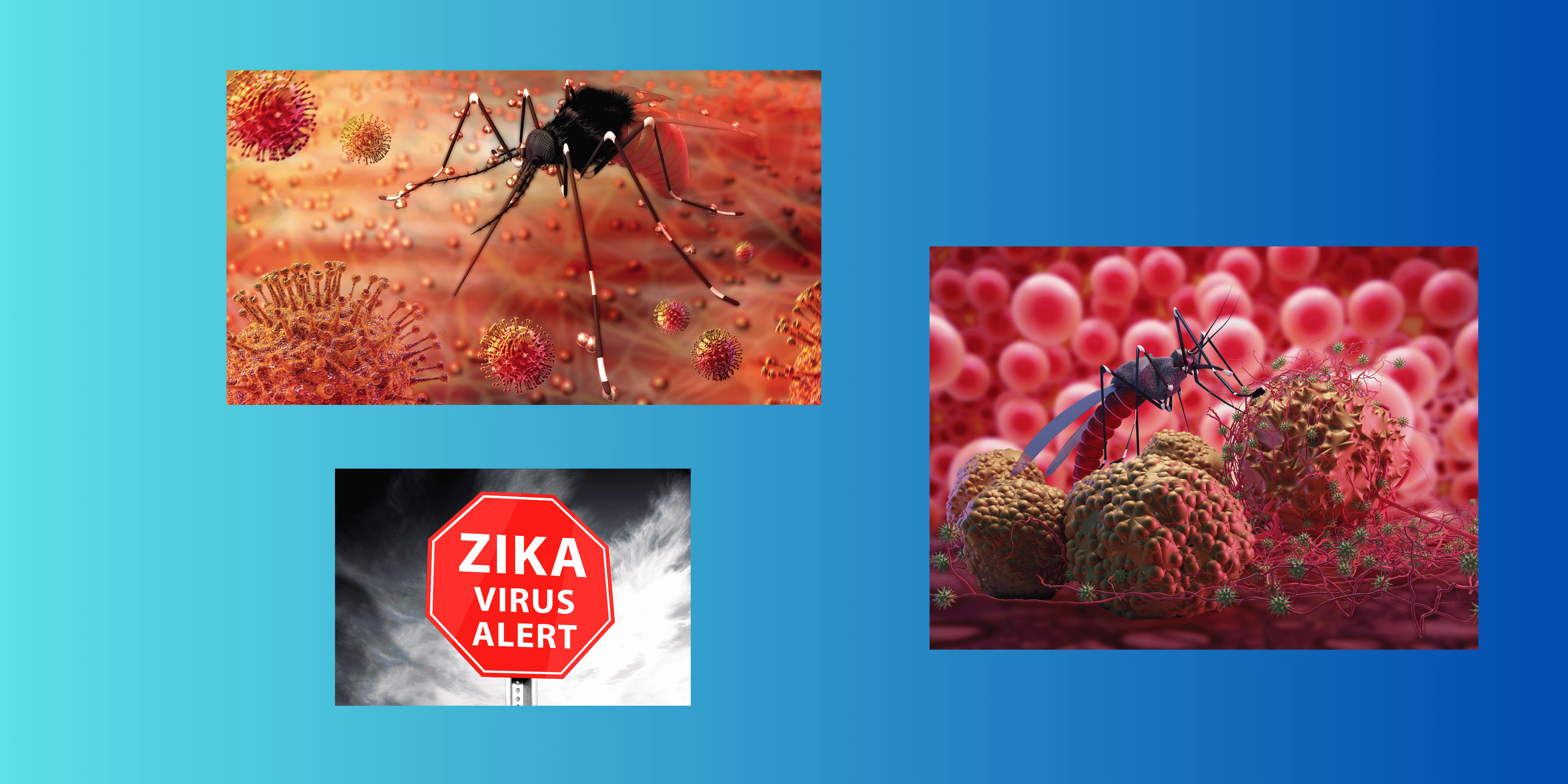 zika Zika